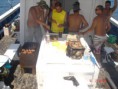 /album/pescaria-bertioga-sp-alto-mar-04-02-2012/dsc04455-800x600-jpg/